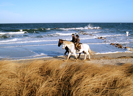 Reiter am Strand